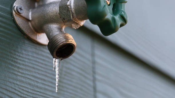 Best Emergency Plumbing Repair  in Brownsburg, IN